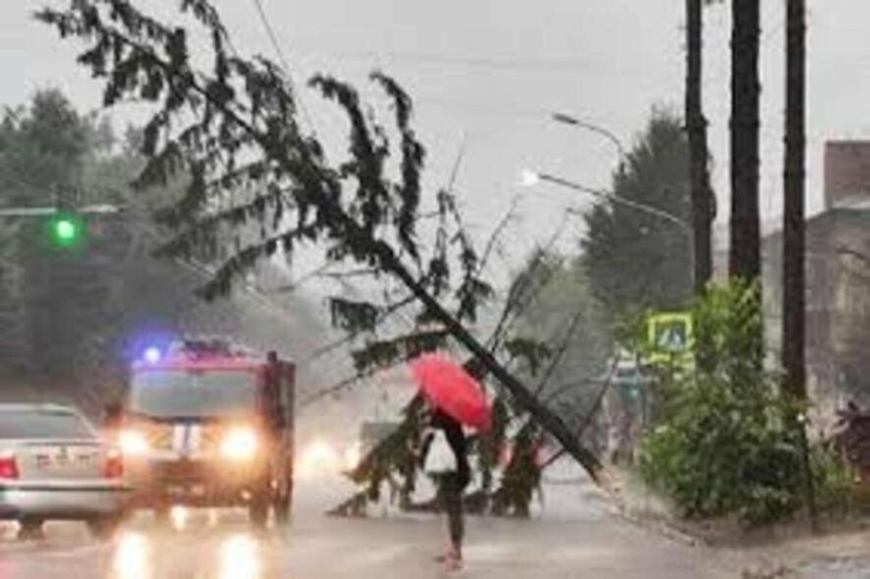 "Жахливе і несподіване похолодання накриє деякі області України, вдарить мороз і потужна гроза": суне дощ і сильна злива