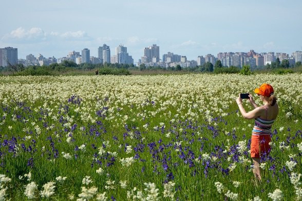 Суд скасував дозвіл на будівництво скандального ЖК на Осокорках