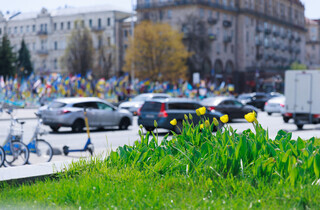 У Києві розквітли перші тюльпани: перелік адрес для весняної фотопрогулянки