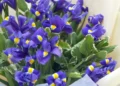 букет из ирисов доставка цветов киев