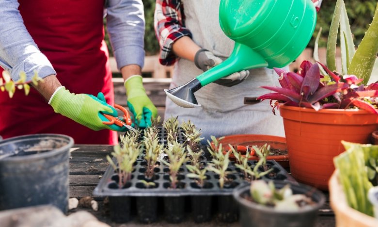 Квітень на городі та в саду: Місячний посівний календар