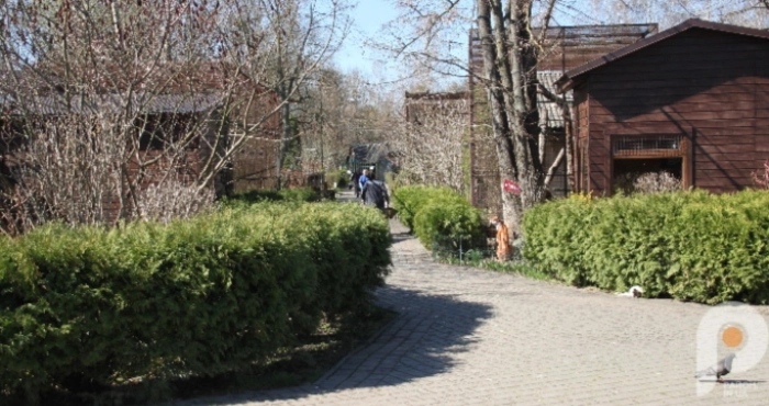 Луцький зоопарк дарує постійним гостям безкоштовні відвідування