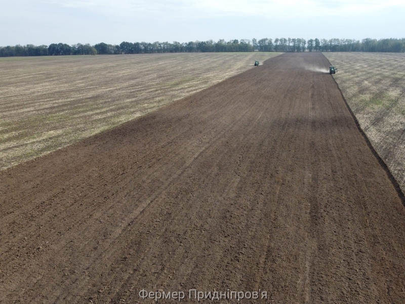 Малі та середні агровиробники становлять понад 70% переможців торгів «Земельного банку»
