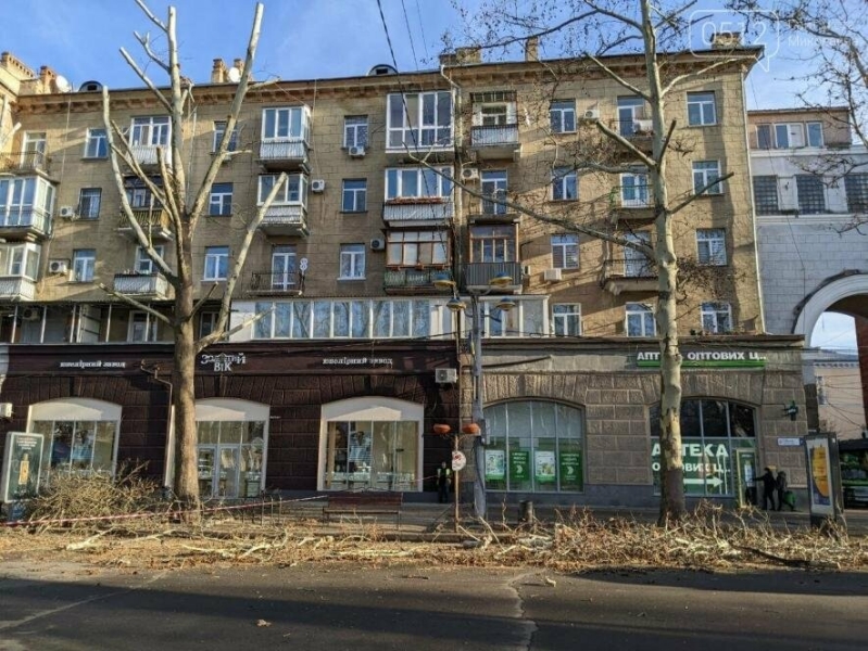 Миколаївські депутати не підтримали мораторій на омолоджувальну обрізку дерев