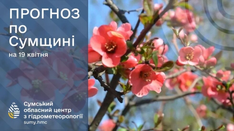 На вихідних на Сумщині прогнозують літню погоду
