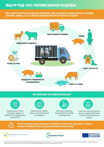 На Вінниччині готуються до можливого спалаху інфекції серед свійських тварин – ящуру