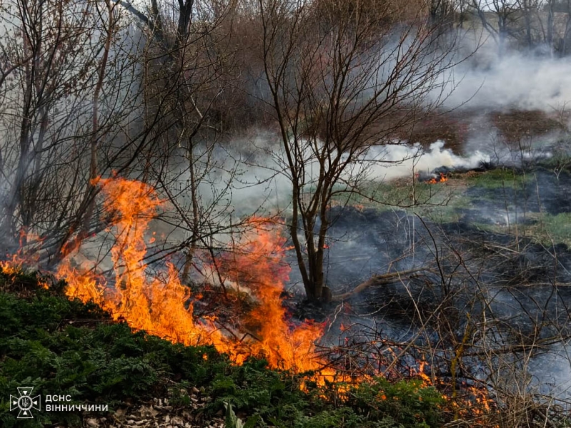 На Вінниччині сталося 12 пожеж
