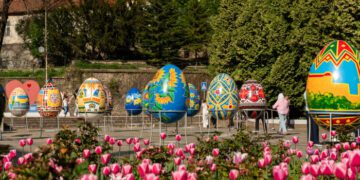 Не сакурами єдиними: в Ужгороді розквітли тисячі різнобарвних тюльпанів