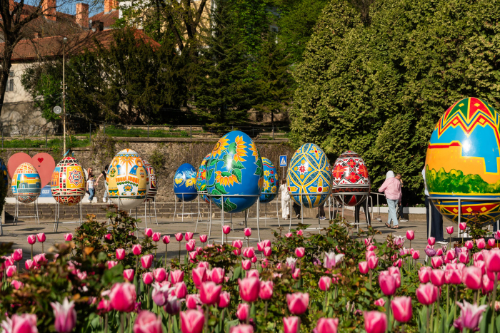 Не сакурами єдиними: в Ужгороді розквітли тисячі різнобарвних тюльпанів