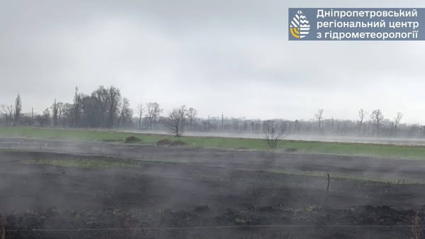 Після дощів і тепла парує земля Січеславщини