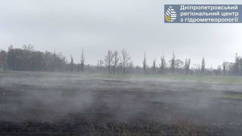 Після дощів і тепла парує земля Січеславщини