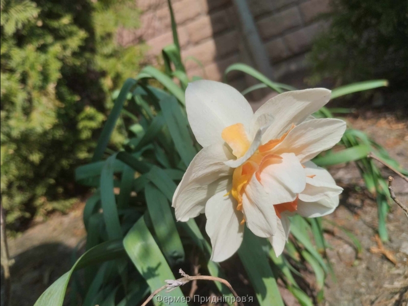 Погода на 5 квітня