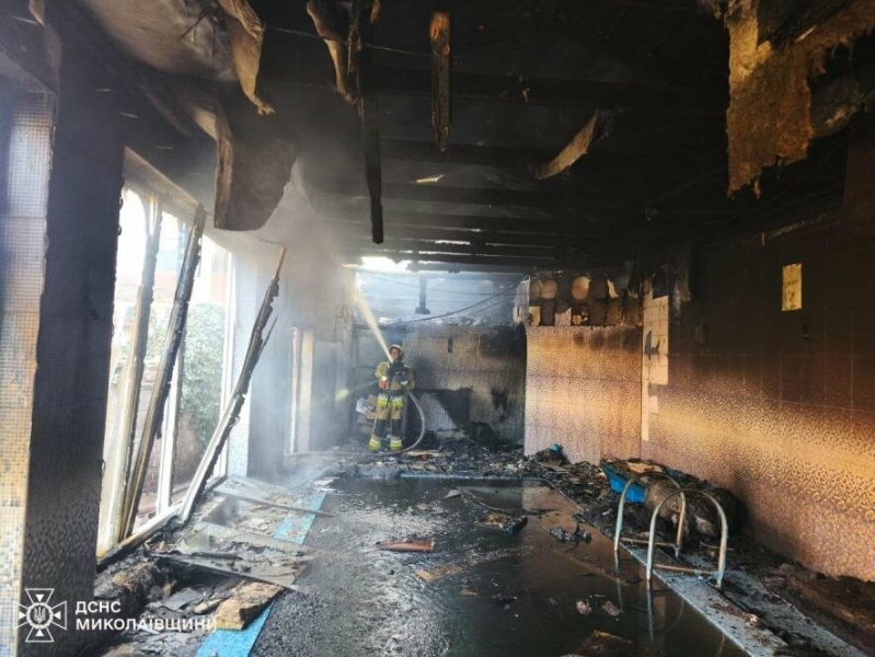 Сім викликів ДСНС на Миколаївщині: пожежі охопили житло, поля і навіть вулики