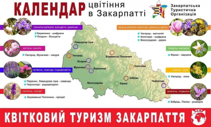 ТОП-10 закарпатських квітучих маршрутів, які викликають захоплення у туристів