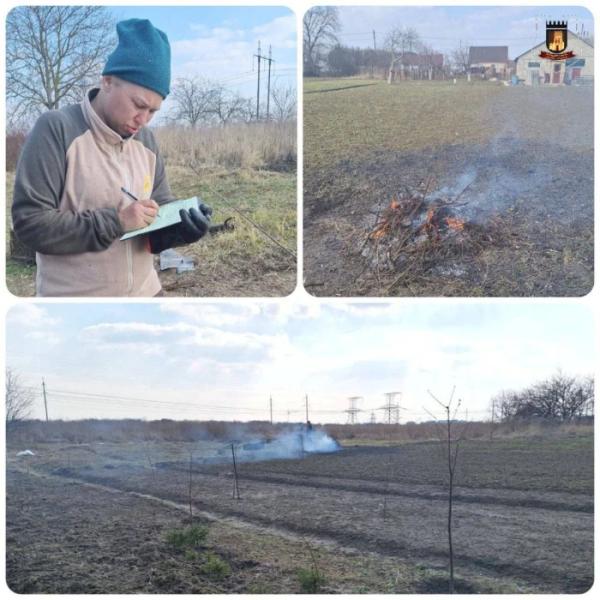 У приватному секторі Луцька оштрафували паліїв листя і зілля