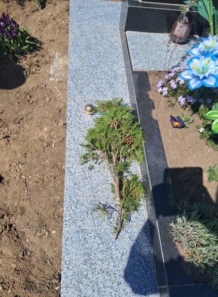 У селі на Вінниччині невідомі поглумилися з могил на кладовищі