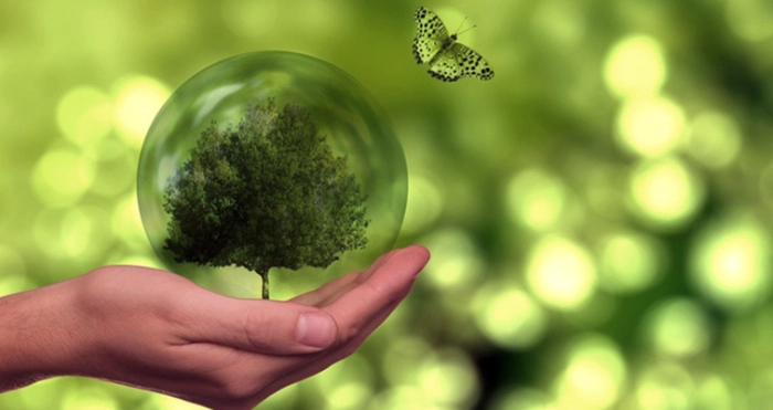 Українців запрошують долучитися до Першого Загальноукраїнського Біобліцу: станьте науковцем у своїй місцевості