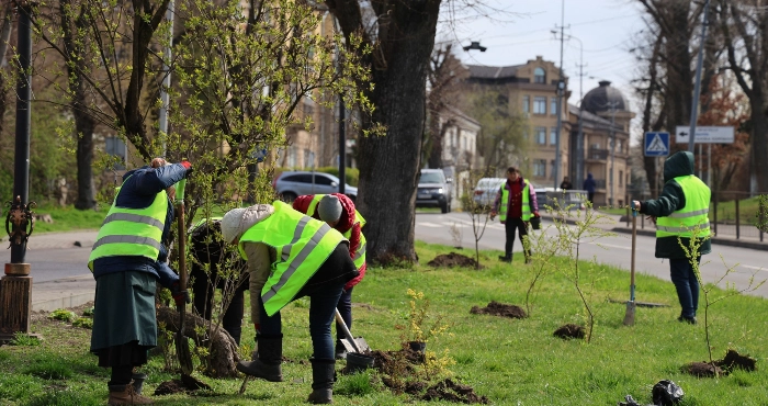 «Весна НаДІЇ» у Луцьку: на екотолоці посадили 1000  дерев