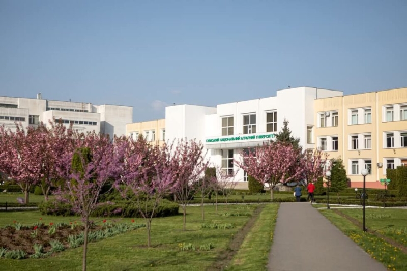 Весна в СНАУ — це окремий вайб