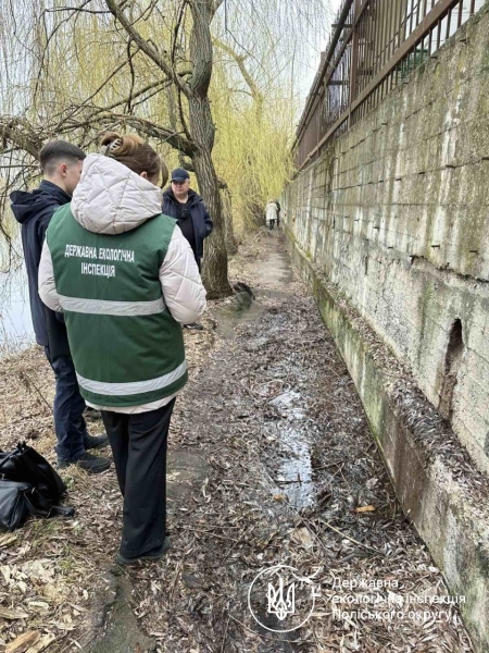 Вода - забруднена: що виявили екологи у ставку Гідропарку в Рівному