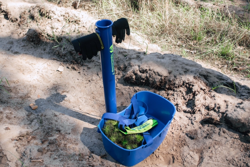 &laquo;Зелена країна&raquo;: представники обласної ради, ОВА разом із олімпійським чемпіоном і лісівниками висадили ліс
