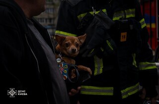 Рятувальні роботи після нічної ворожої атаки на Київ завершено (фото)