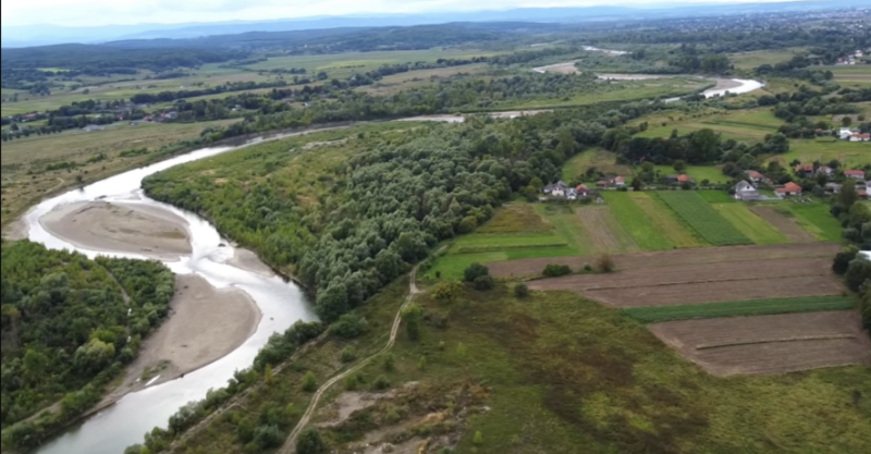 В Івано-Франкіській області на річці Прут планують збудувати каскад ГЕС: екологи проти і б'ють на сполох