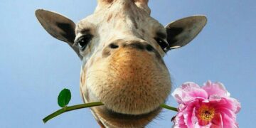 Прикольні та веселі привітання з Днем народження своїми словами