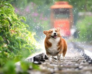 Синоптики порадували українців прогнозом