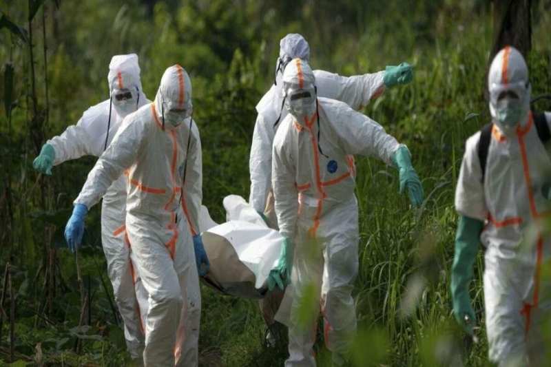 "Жахлива хвороба проявилася в Україні, більшість цих людей швидко помирає": смертоносна інфекція несе біду, біль і жах