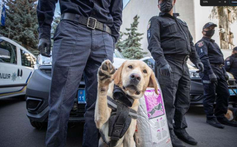 Вивели всіх людей із ЦНАПу: в Івано-Франківську знову надзвичайна ситуація