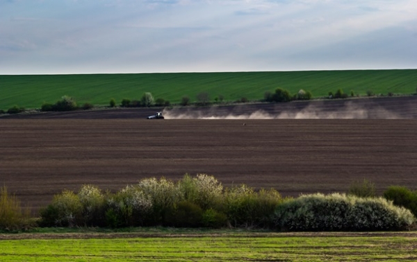 Весняна сівба: аграрії виконали 76% плану