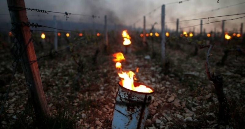 Чому травень виявився аномально холодним: синоптик пояснила причину