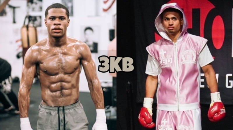 Боб Арум спрогнозував переможця бою Хейні - Ромеро