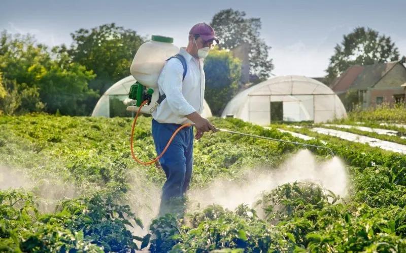 Четверть засобів захисту рослин в Україні є підробкою