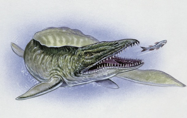 У США знайшли скам янілість мозазавра часів динозаврів