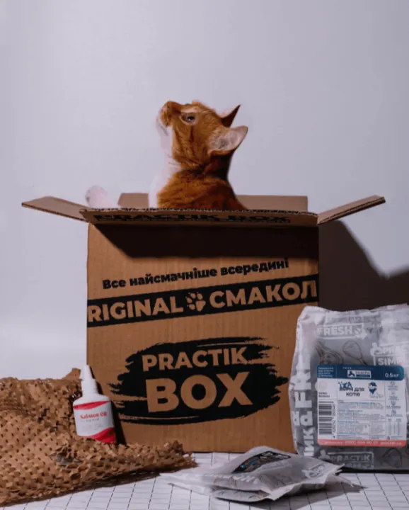 якісний корм для котів practik