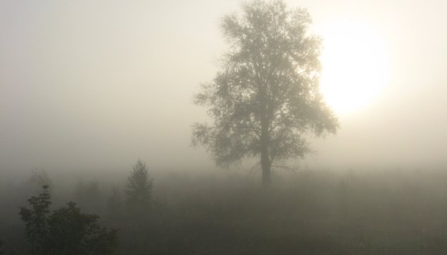 Водіїв попереджають про туман у Запоріжжі