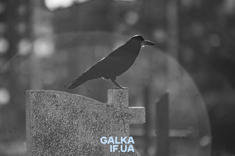 «Мармулядова пожежа», страта повії на площі і станіславський вампір: історик коментує міфи і легенди про Франківськ (ФОТО)