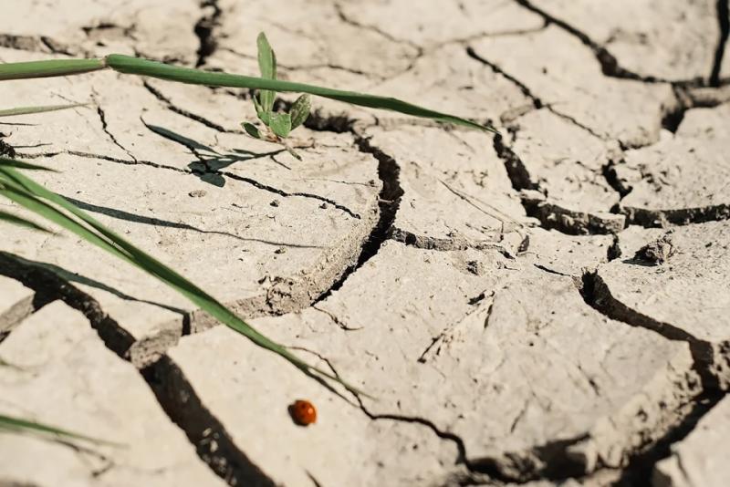 Середня температура зросте, а один із 5 наступних років може стати найспекотнішим за час спостережень, - метеорологи