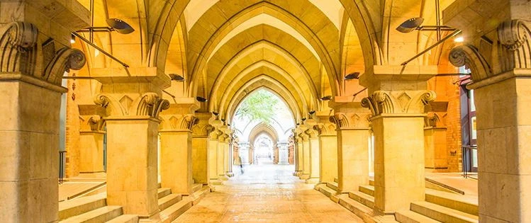 Університет Токіо, який раніше прихистив науковців з України, розглядає можливість прийняти іноземних студентів Гарварду