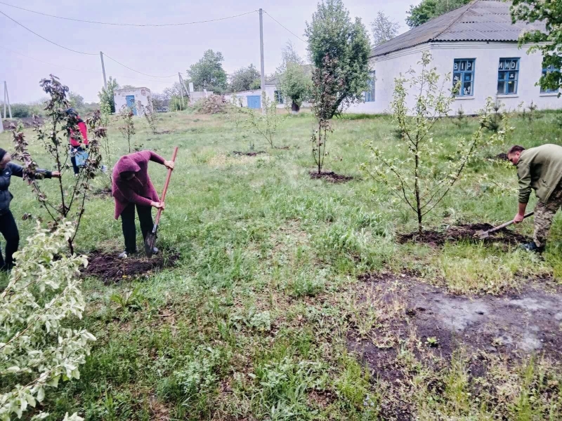 В Цибульківському старостаті підтримали на ярмарку ЗСУ і висадили понад 70 яблунь «Садів Перемоги»