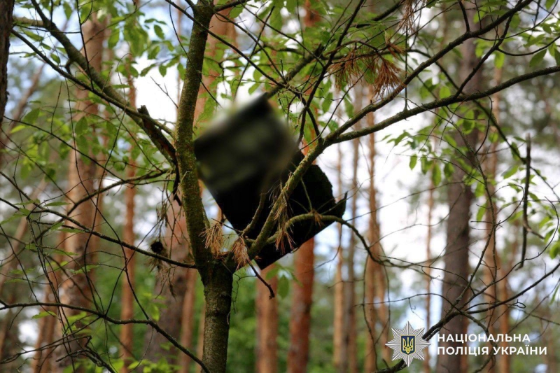 Могли вибухнути будь-якої миті: два «шахеди» виявлено у лісі під Києвом