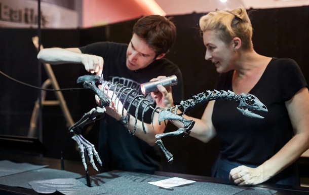 У США знайшли новий вид динозавра