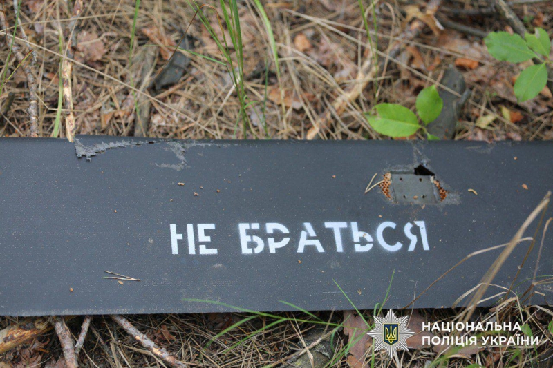 Могли вибухнути будь-якої миті: два «шахеди» виявлено у лісі під Києвом