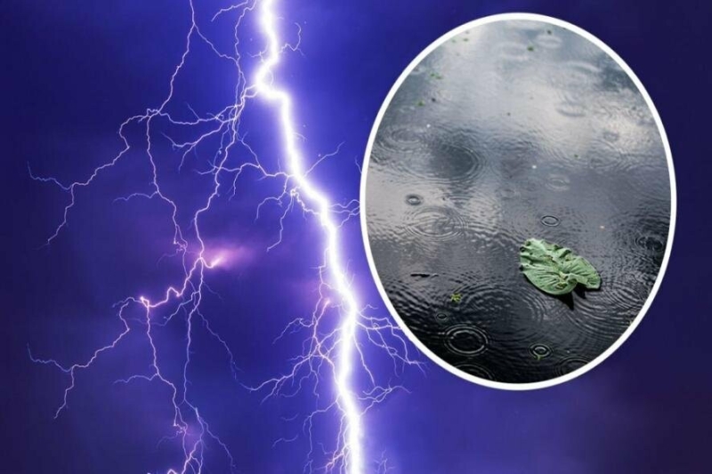 "Дощ і гроза вдарить на Прикарпатті прямо завтра, негода очікується вночі": синоптики сказали, де чекати на негоду