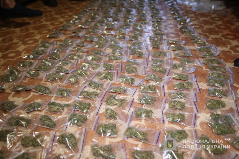 У мешканця Запоріжжя вилучили понад півкілограма наркотиків