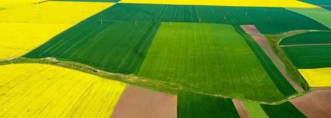 Раптове зниження ціни на землю в Україні. Причини