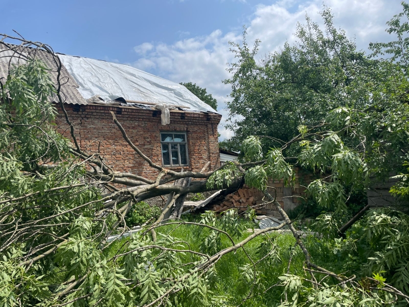 Смерч на Тернопільщині: дахи літали, повалені дерева падали на будинки (ФОТО, ВІДЕО)