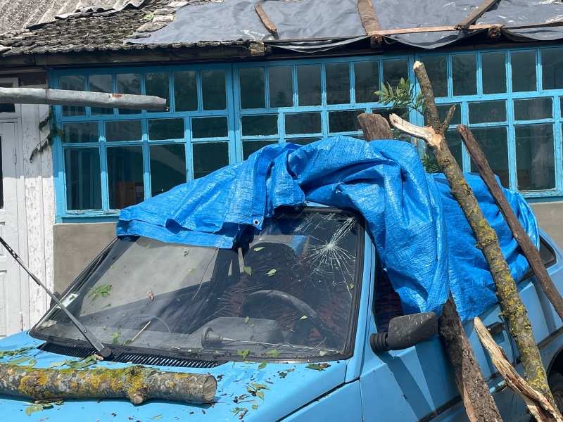 Смерч на Тернопільщині: дахи літали, повалені дерева падали на будинки (ФОТО, ВІДЕО)